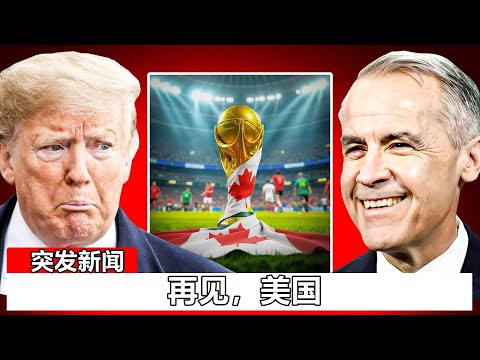 逃离塔科夫,开发商遭俄,罚款,香港赛马,赛程安排,赛果查询,马匹资料,赛事资讯